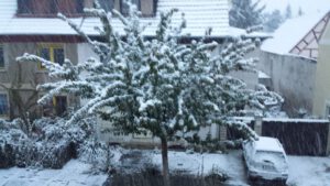 Winter 2015 in der Weimarischen Straße