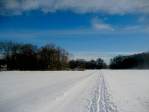 Winter 2010